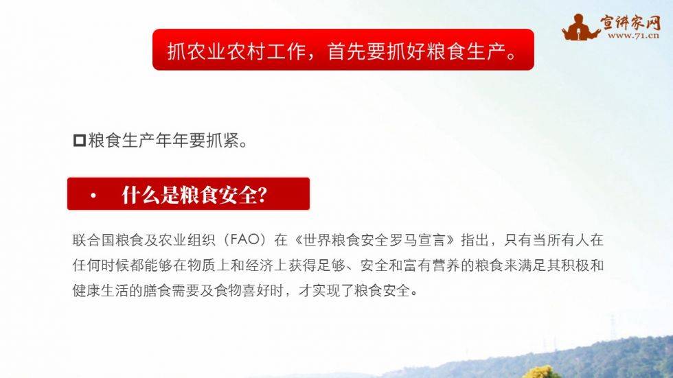 课件确保国家粮食安全大力实施乡村振兴战略学习中央农村工作会议精神