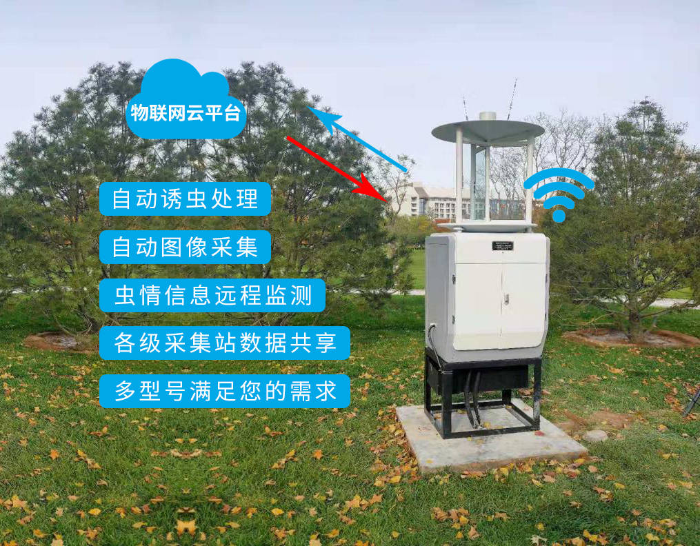 环境|智能大棚工程建设设计方案