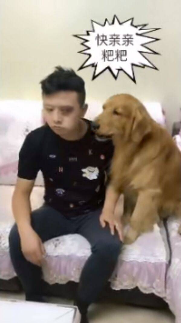 金毛陷害自己的主人居然是為了這個，男主人：真是養了一隻白眼狼 萌趣萌寵 第5张