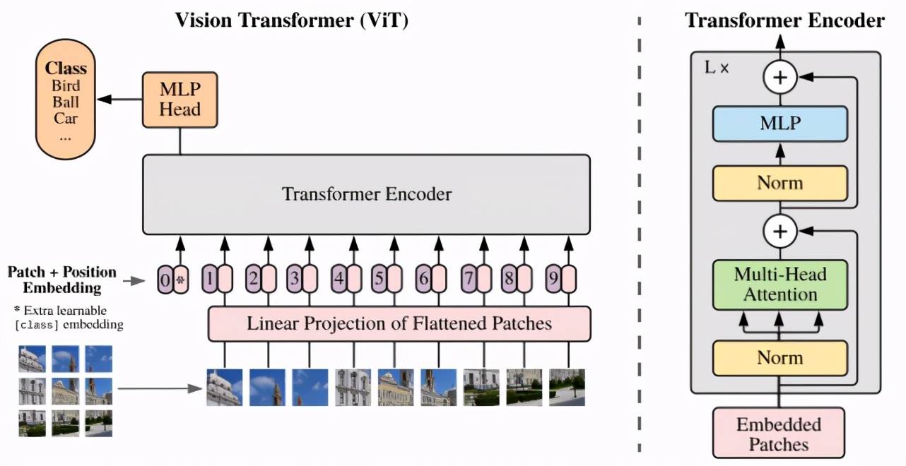 视觉|优于ViT和DeiT，华为利用Transformer块构建新型视觉骨干模型TNT