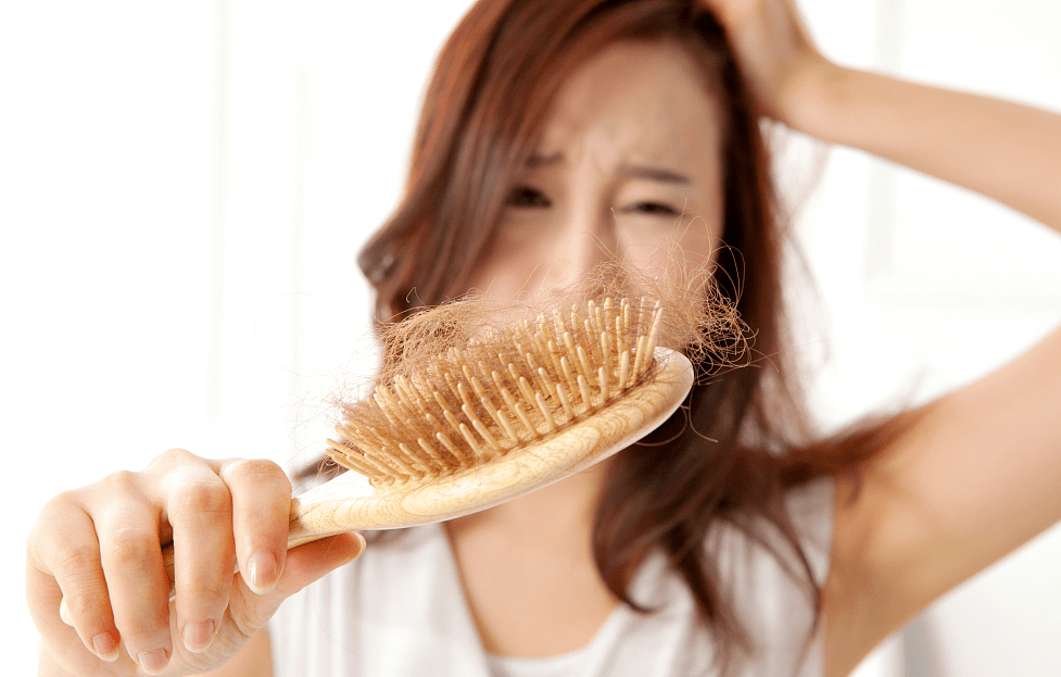 普通食品终究经不起推敲 上医本草七级代理模式