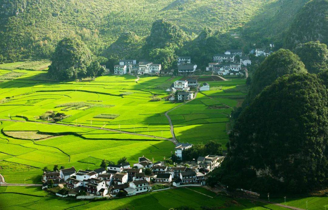 温浏乡花交村人口_温浏乡石葵村图片(3)