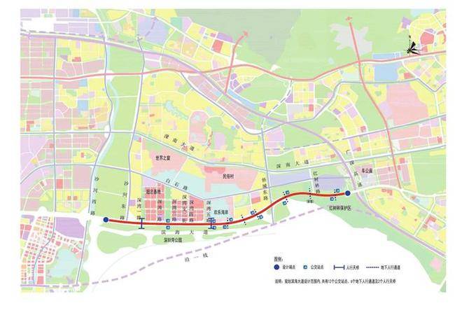 未来的深圳滨海大道：地面亲海 地下行车