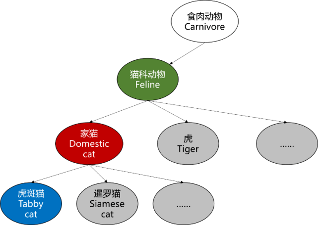 类别|华为云IEEE TPAMI论文解读：规则化可解释模型助力知识+AI融合