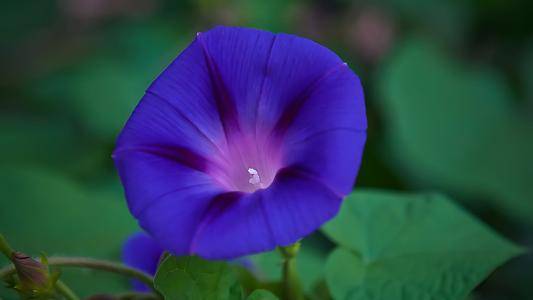 3月6号天赐横财 贵人相助 大赚特赚 收入翻倍的生肖 连中