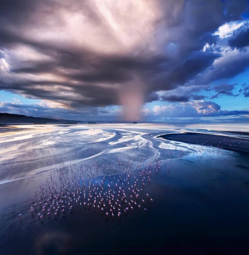 天人影像十杰 | 张项理2020年度国际获奖作品展_摄影