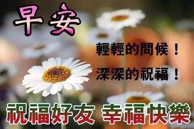 8张有创意漂亮老同学早上好图片 免打字祝福语带字温馨 亲爱的朋友