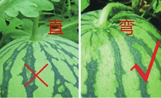 4b5217599e4d4744ba731c6d33e2dc83.png