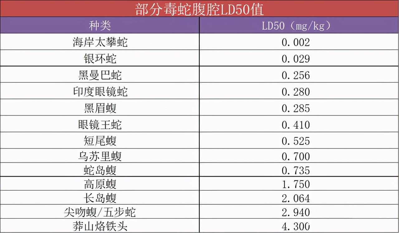 毒性排名_世界蜘蛛毒性排名