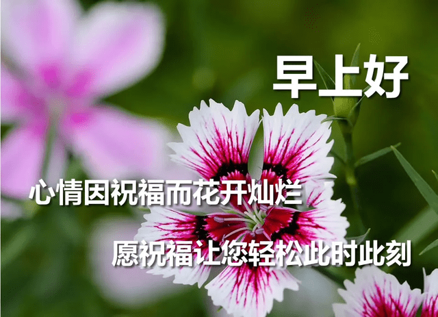 14deeb21a83b4f6696d0f1ed6d5a3557.png