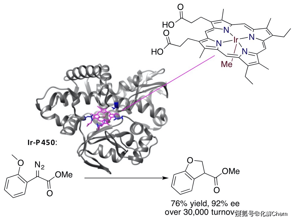 【大家】John F. Hartwig——有机金属领域大牛_催化