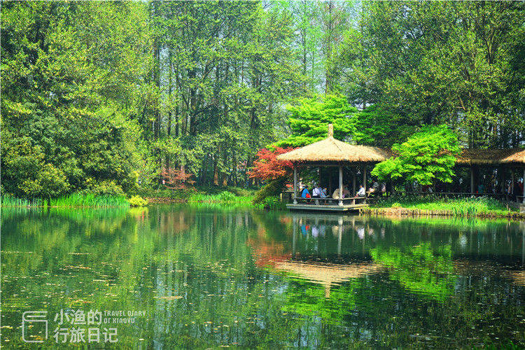 杭州这处免费景点，藏着西湖最美的春天，你去过吗？