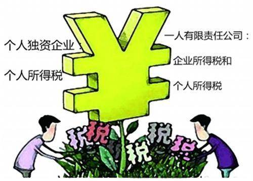 怎么看是不是一人有限责任公司 b3a34c62ed3f49f09ec4ee2b10b0fac2.jpeg