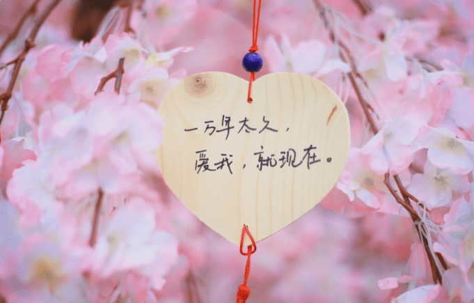 d2565ae776204939b1c09719ba269051.png