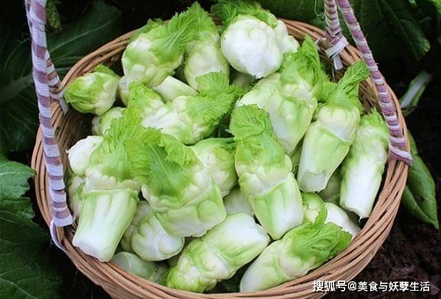 什么蔬菜补钙补得快 f6b4988487fc46cdb2e6fe7d7c57bc24.jpeg