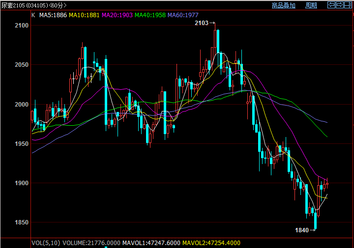 咖门红名师潘启祥苹果下降趋势依旧良好操作日内为主