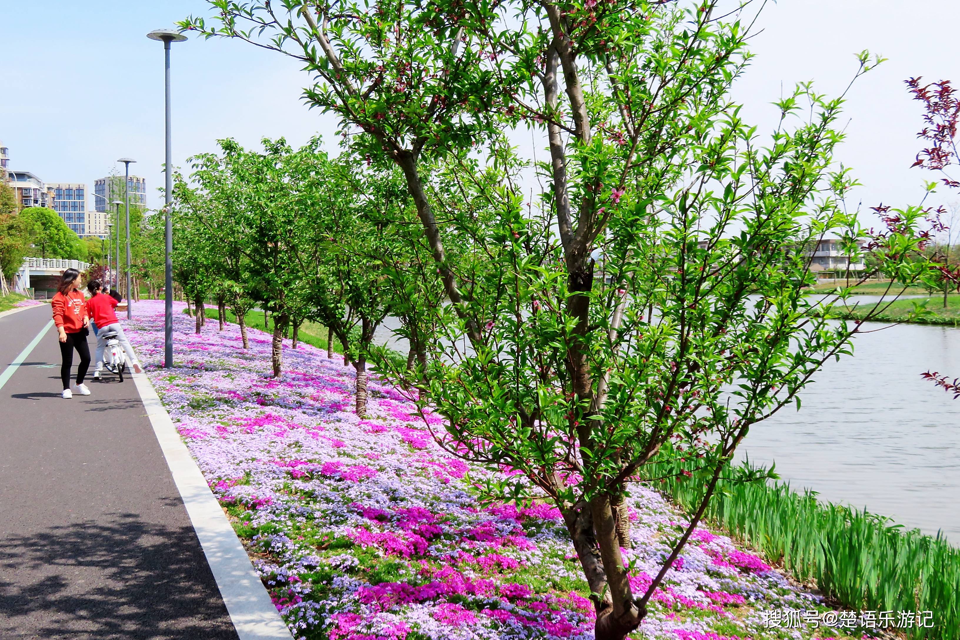 宁波这个网红地目前游人稀少，桃花和海棠次第开放，适合周末休闲