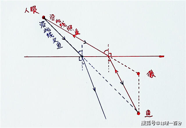 鱼翔浅底利用了光的什么原理_鱼翔浅底什么意思