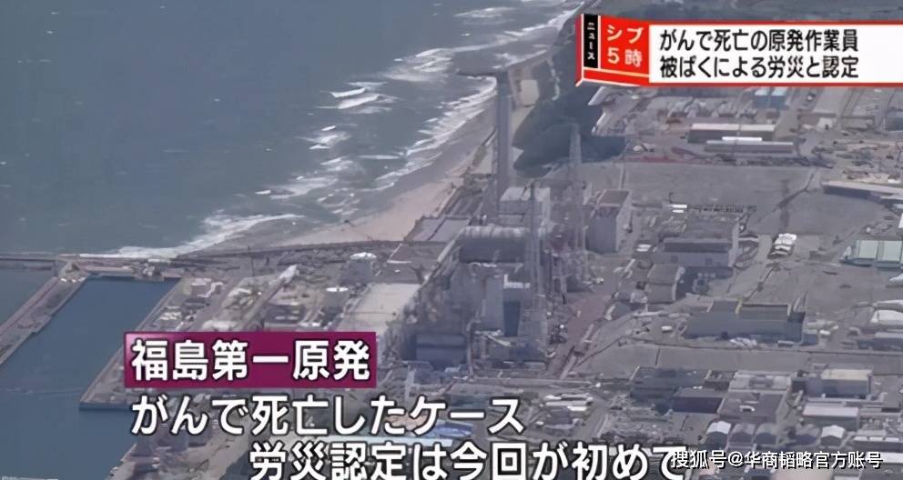 原创中国核电里程碑抵御17级台风大飞机撞击美国阴谋对它无效