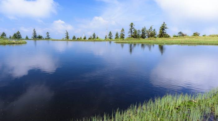 从双寡头到三巨头，谁撬动了空调市场最大变量？-家电圈官网