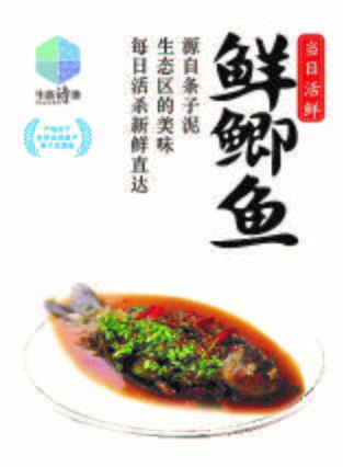 诗画条子泥，好水养鮰鱼：沿海集团东台公司出品生态鮰鱼冻品菜肴制品