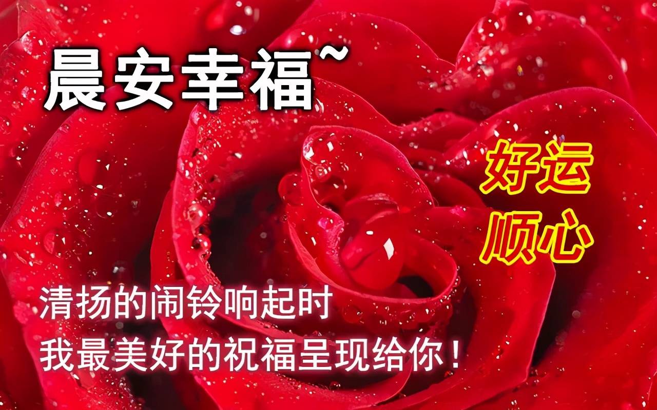 原創清晨早上好特漂亮動態祝福圖片帶字早晨祝福溫馨圖片大全