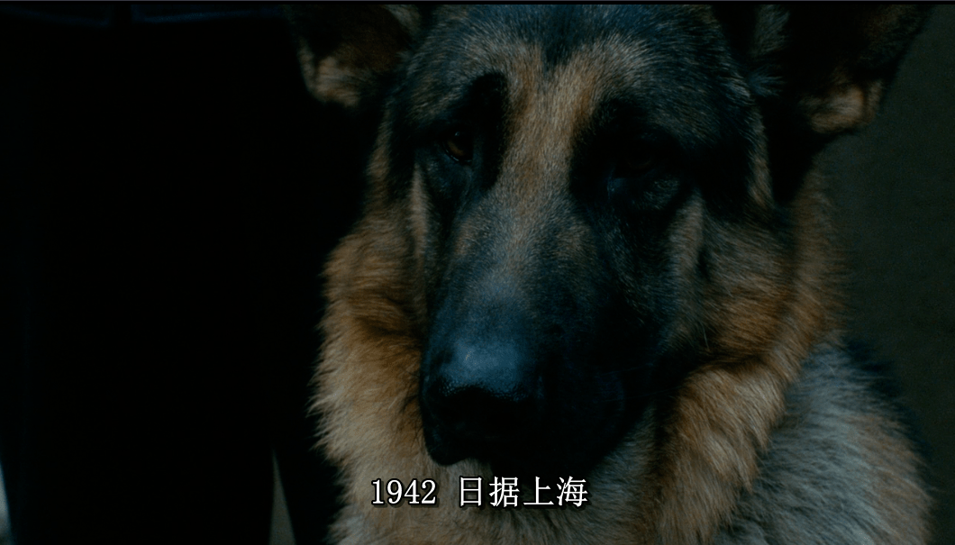 钟表,镜面,眼神构成这部杰出作品的三大悬疑要素(中)_电影