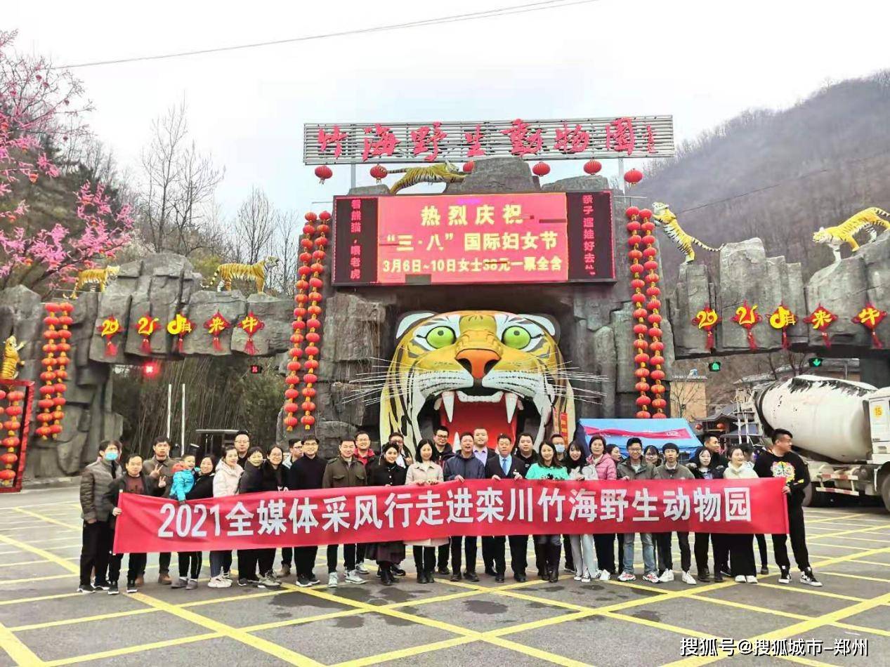 萬畝竹海熊貓坐鎮來欒川竹海野生動物園感受人與自然相融的世外桃源