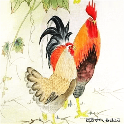 ab75da2297964981a0bced26cb3a873c.png