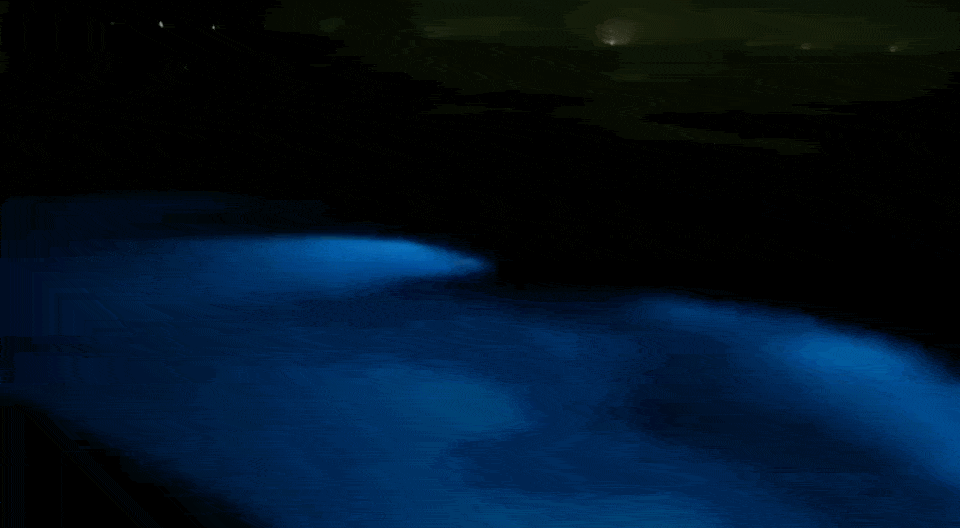 “荧光海”刷屏朋友圈，还能看鲸鱼，不输东南亚的国内小岛要火了