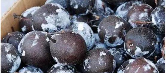 怎么选好吃的冻梨 ef2d134570f14dfab7e2a46b54da7a84.jpeg