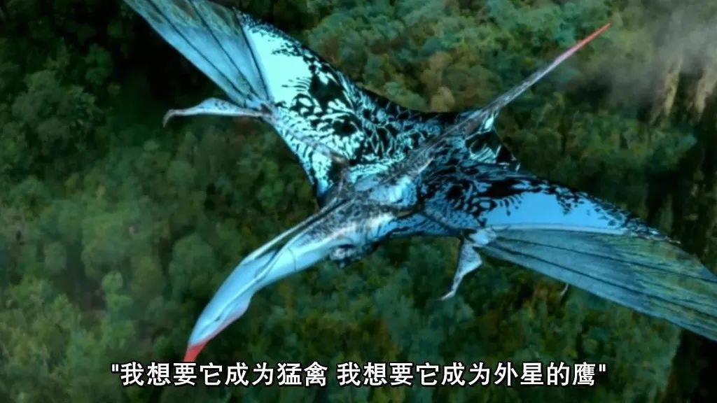 7个故事揭秘《阿凡达》为啥能载入史册_詹姆斯·卡梅隆