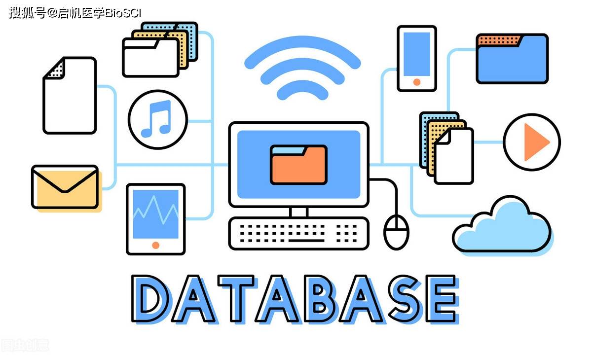 生物通路数据库简介,你和国自然还差这几个库