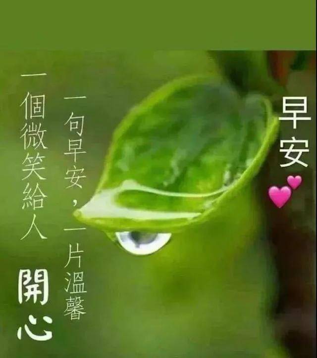 早晨好祝福语表情动态图最新早上好表情图片合集