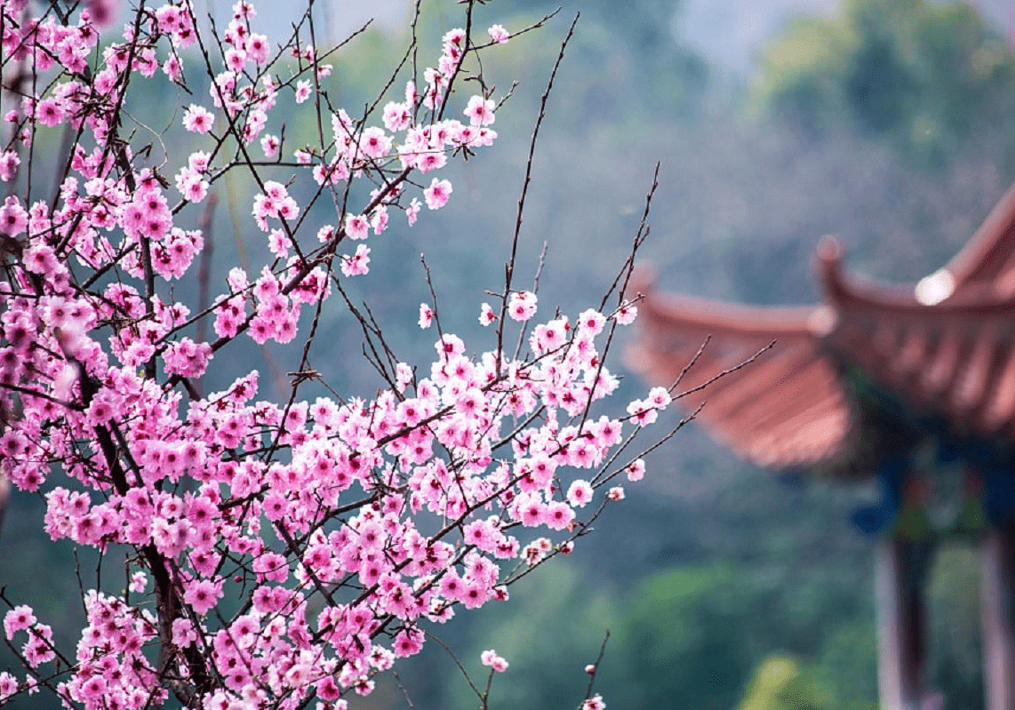 怎么算自己的桃花位如何查自己的桃花位 自媒体热点