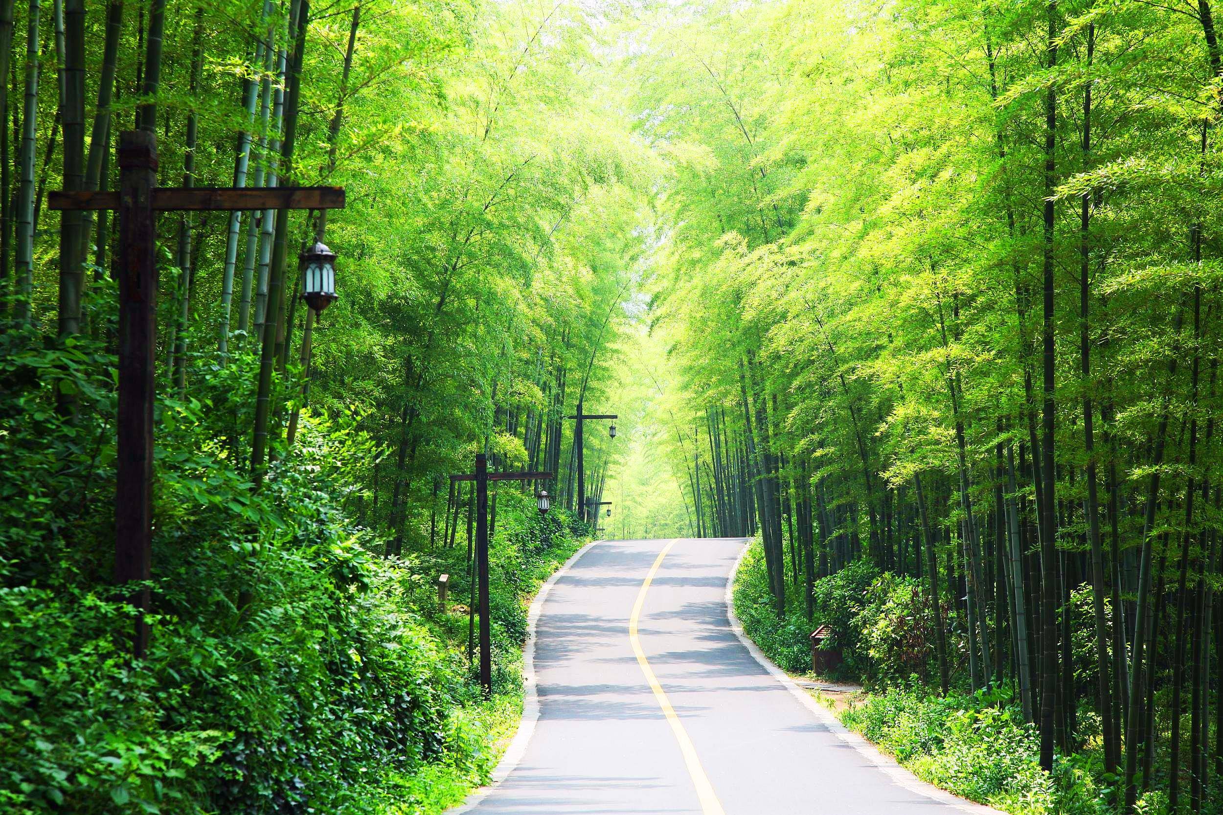 三省|南山竹海太美了