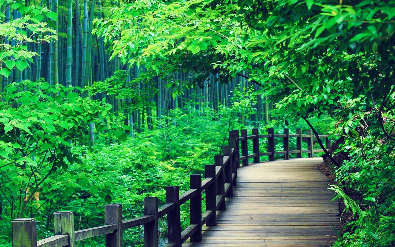 三省|南山竹海太美了