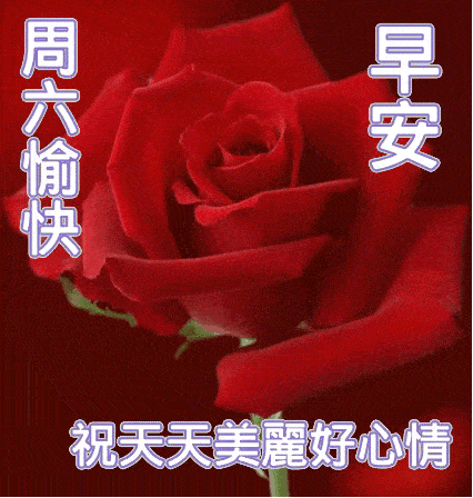 原创2021年3月14日周六清晨早上好祝福动态表情图片最新早安问候祝福