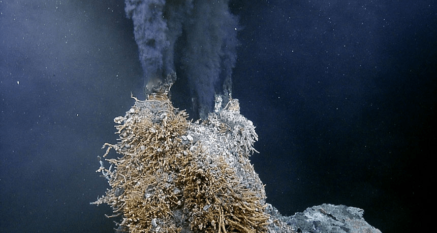 顛覆生物學生活在海底450火山口的大蝦