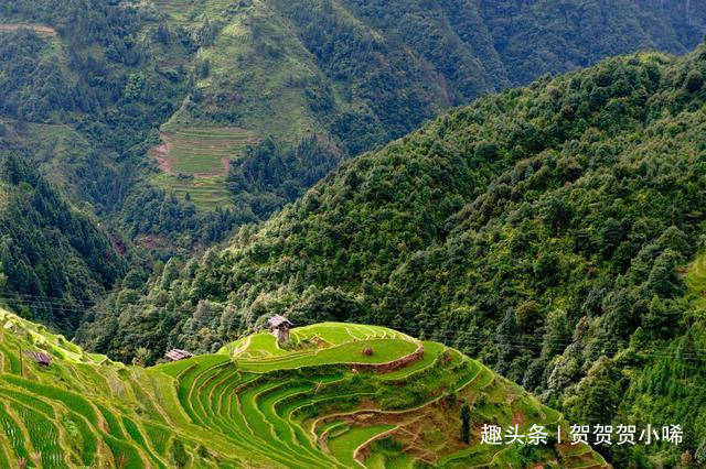 贵州藏了世界十大梯田之一，比云南元阳更奇丽，比广西龙胜更壮阔