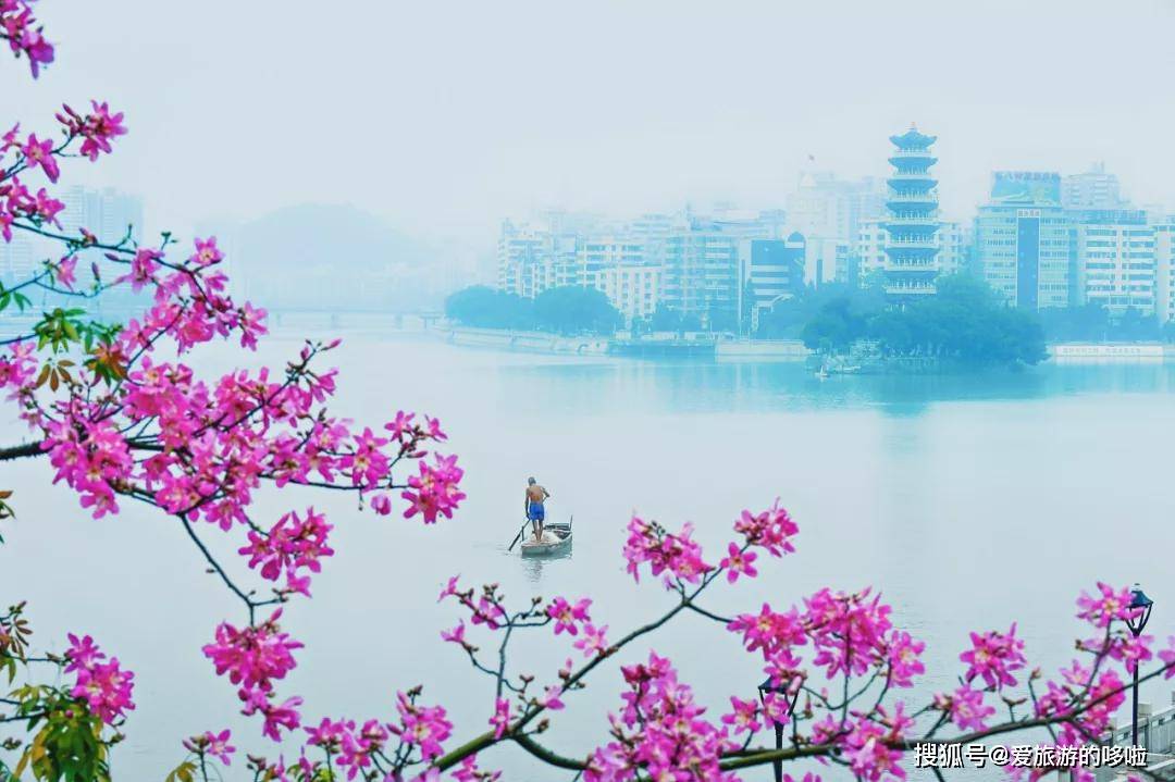广东唯一敢叫板徽州的小城，已花开成海，而且游人很少！
