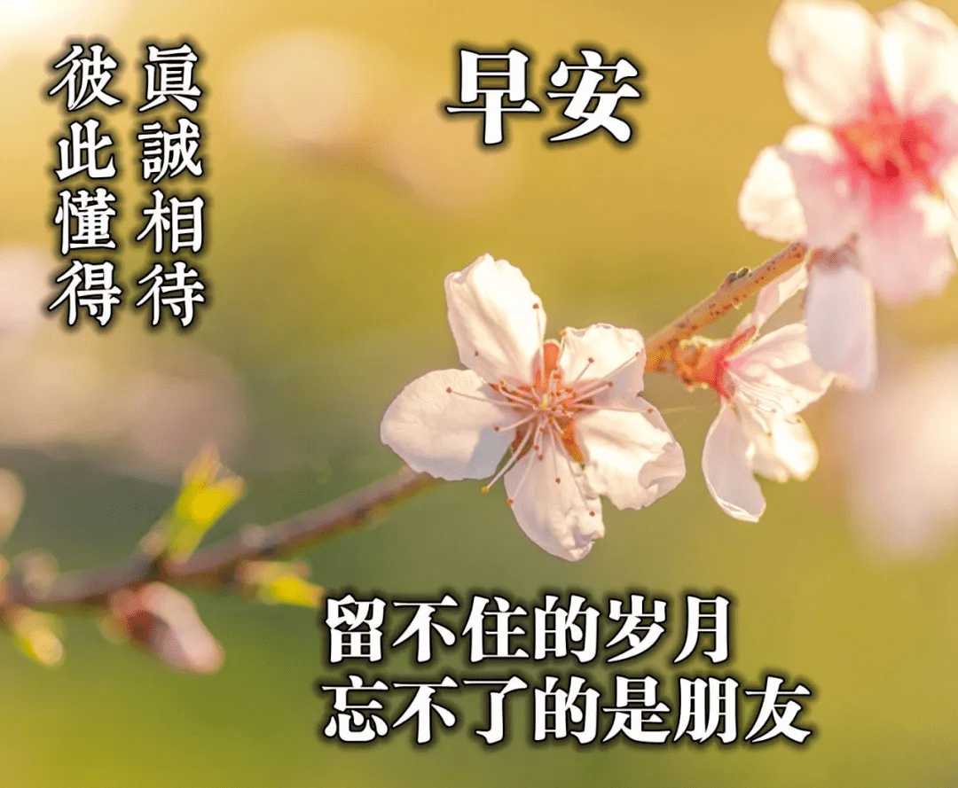 最新早安祝福语图片带字美图动态祝福，早安问候祝福语录图片带字_腾讯新闻