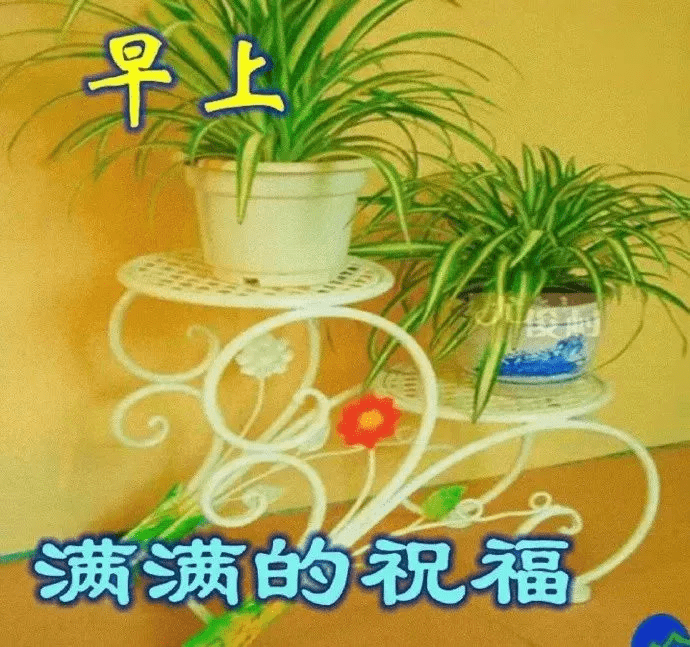 早上好问候图片带字动态表情 早上好图片问候祝福语句子 亲爱的朋友