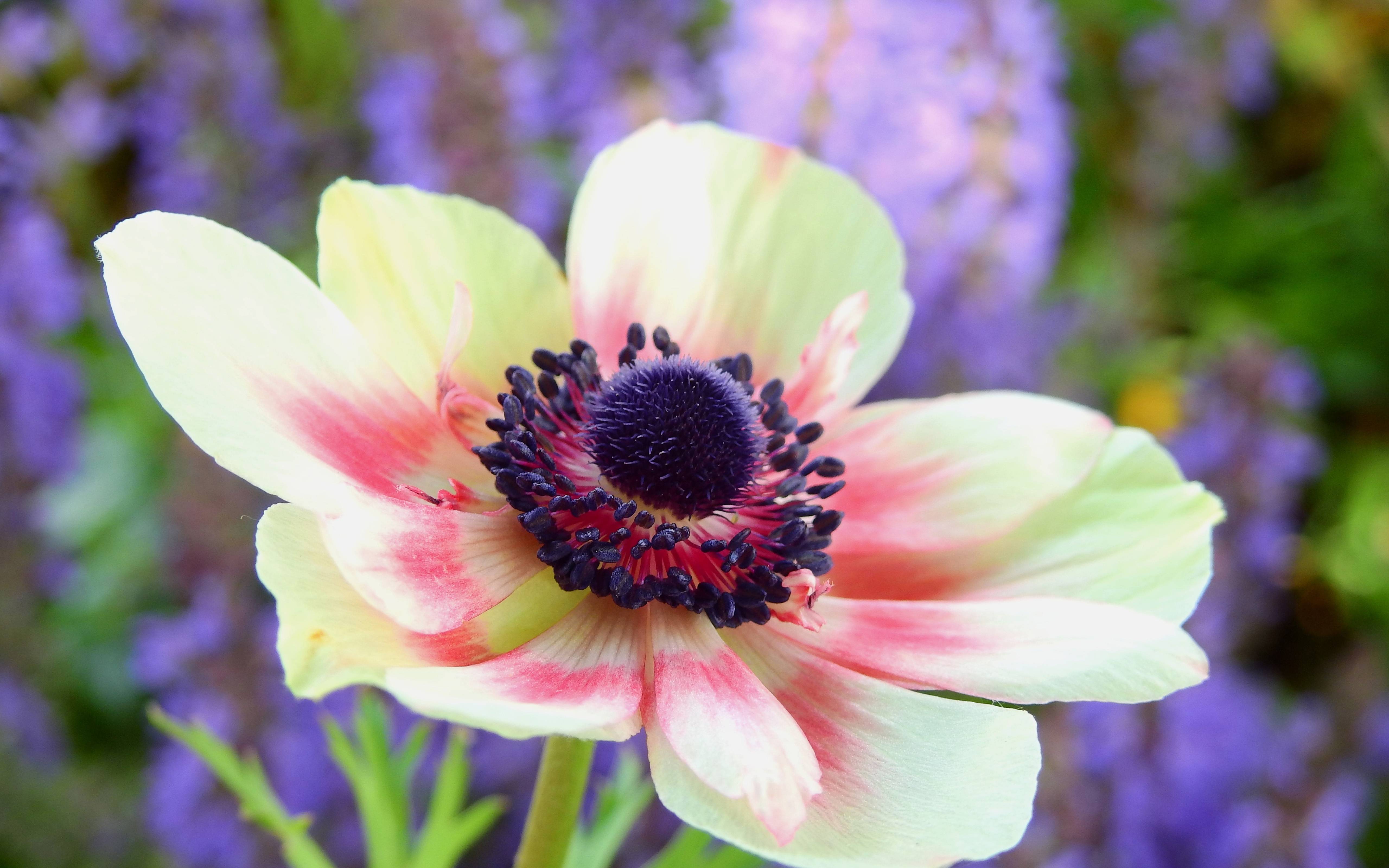 3月14日星座运势 巨蟹脚踏实地 天蝎目光长远 射手迎接挑战 工作