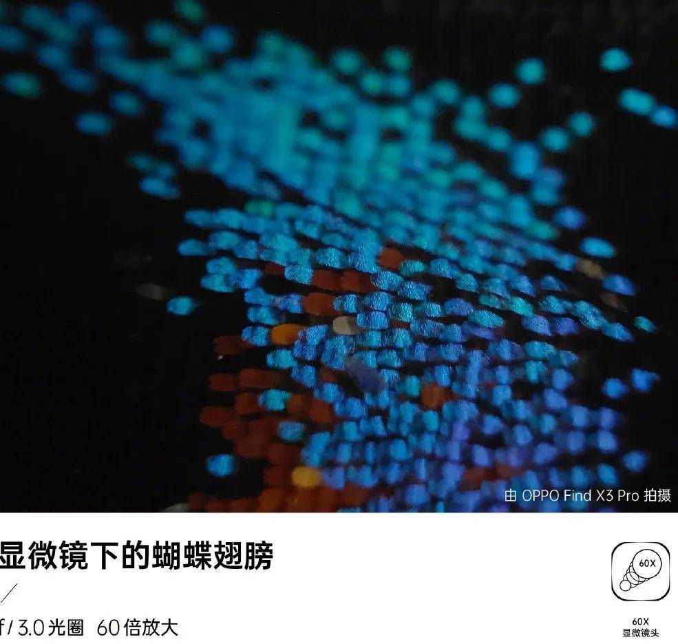 亮点|盘点几款新品手机的最大亮点，显微镜功能最值得肯定！