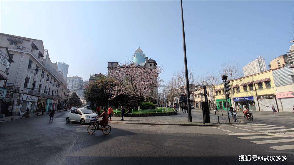 武汉市中心街头樱花吸引行人打卡