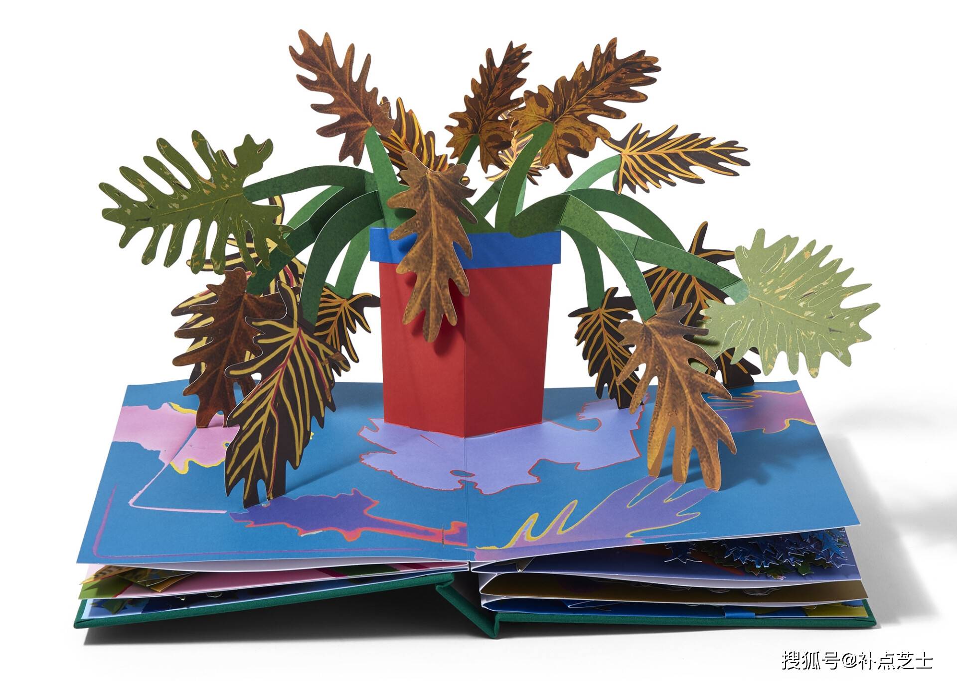 将植物收入书中,艺术家通过立体书把互联网内容带入现实