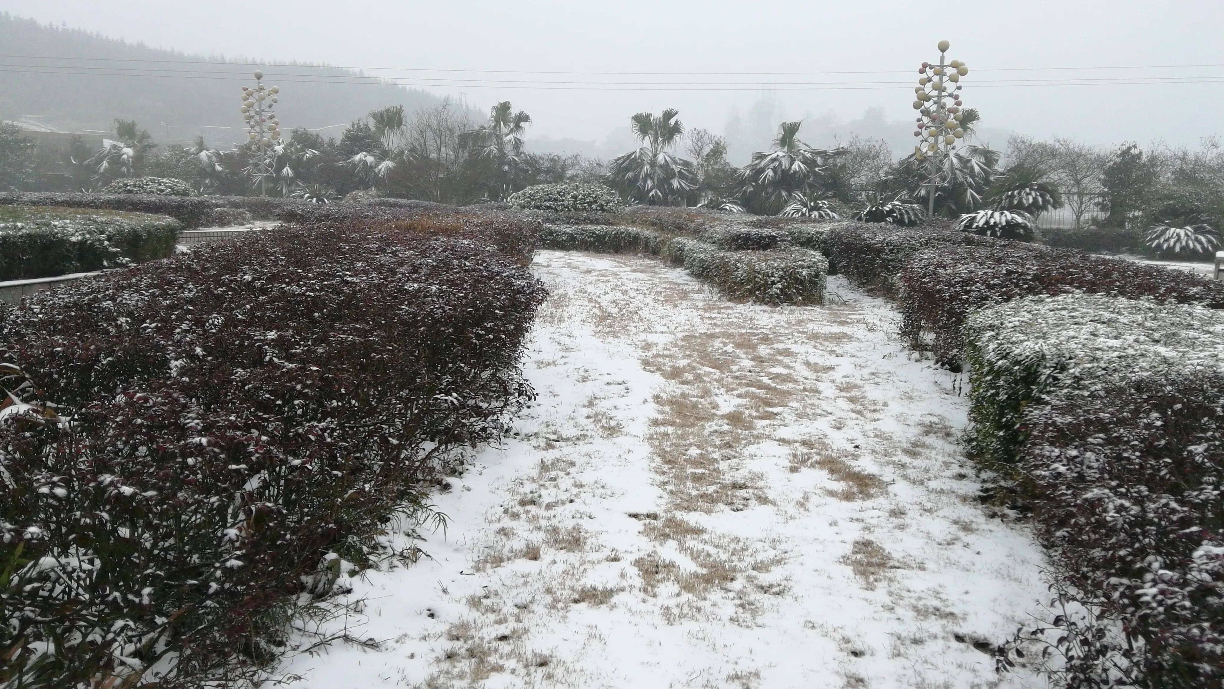 湖南省郴州市资兴市，寒冬腊月去三都镇的野外漫步，赏雪色小景