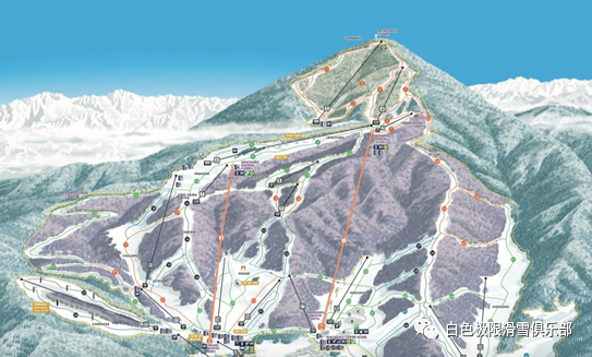 滑雪俱乐部在长野野泽温泉与栂池高原滑雪场收获这些宝贵经验
