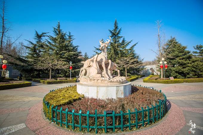 石家庄鹿泉有一座网红公园，免门票，环境好，是春天赏花的好去处
